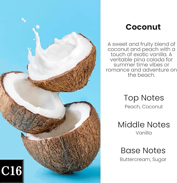 HoogaLife Car Air Freshener Diffuser 2 Pack Hanging Air Freshener Diffuser - Coconut Fragrance Oil Air D iffuser for Car, 45+ Days Long Lasting Fragrance Made in USA (C16) - Bloomnest
