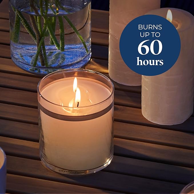PartyLite GloLite Mulberry Scented, Notes of Mulberries, Raspberries, Woodland Strawberries, Vanilla & Musk, 2-Wick Jar Candle, 60 Hour Burn Time, World's Brightest Candle™ - Bloomnest