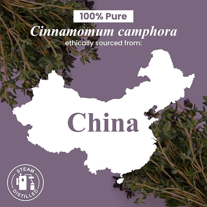 Handcraft Blends Camphor Essential Oil – Huge 4 Fl Oz – 100% Pure and Natural – Premium Grade Essential Oil for Diffuser and Aromatherapy, Skin, Massage, Candle and Soap Making Fragrance - Bloomnest