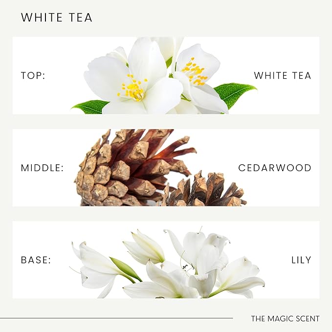 The Magic Scent White Tea Diffuser Oil - Hotel & Home Luxury Scents - Diffuser Oil Scents for Home Designed for Use in All Diffusers - 4 fl oz, 120 mL - Bloomnest