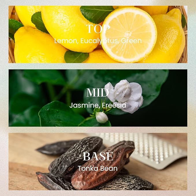 M&SENSE 10.14 oz Large Reed Diffuser Set | White Tea & Sage Scent Oil Diffuser with Sticks | Hotel Collection Non-Toxic Essential Oil |for Bedroom Bathroom Living Room - Bloomnest
