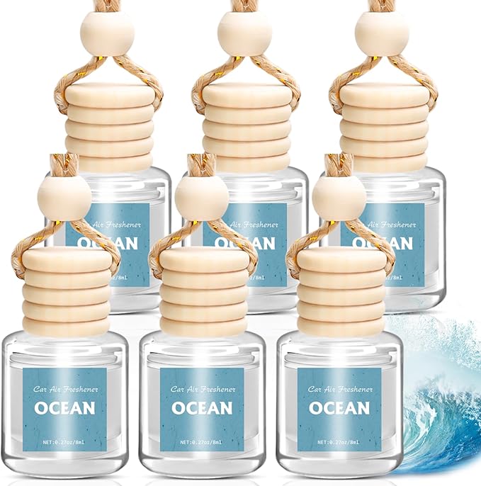 AROIC Car Air Freshener 6 Pack, Long Lasting Fresh Aroma Diffuser Set for Men & Women, Natural Essential Oil Fragrance Diffuser for Removing Odors, Auto Interior Decor Accessories Unisex (Ocean Scent) - Bloomnest