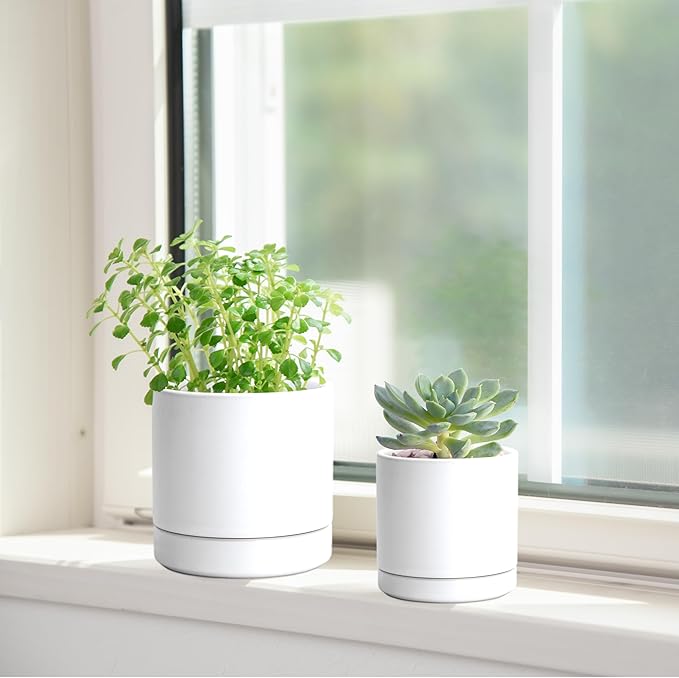 D'vine Dev 3.5 Inch & 4.7 Inch Ceramic Planter Pots for Plants with Drainage Hole and Saucer, X-Small Plant Pots Set, White, 94-G-XS-1 - Bloomnest
