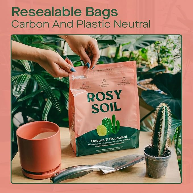 Cactus and Succulent Organic Potting Soil Mix for House Plants - Fast Draining, Root Boosting, Peat-Free, Less Prone to Gnats - Drought-Tolerant - Growth of Aloe Vera, Cacti and Indoor Succulents- 4qt - Bloomnest