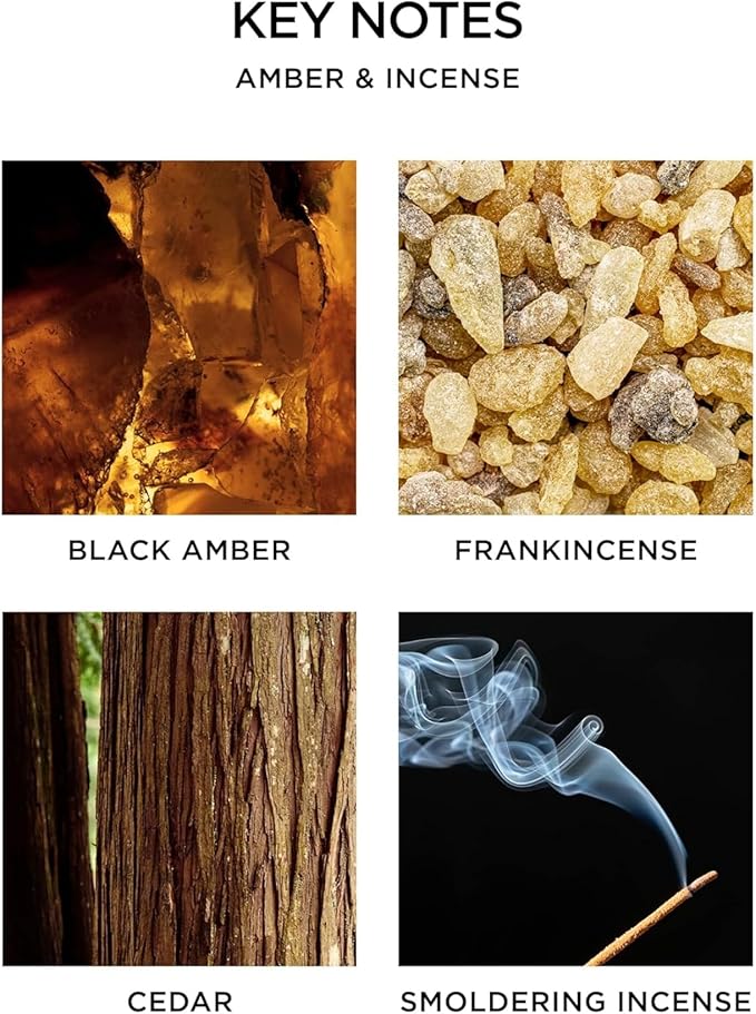 NEST New York Scented 3-Wick Candle, Amber & Incense - 21.2 oz - Up to 100-Hour Burn Time - Reusable Glass Vessel - Bloomnest