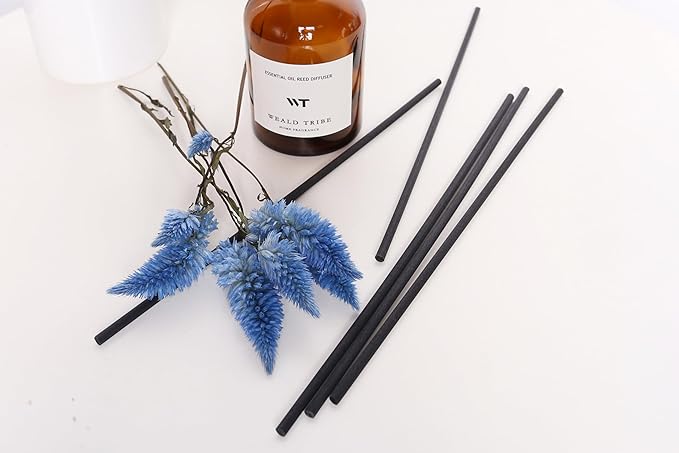 WEALD TRIBE Reed Diffuser Set for Bathroom Air Fresheners, Oil Diffuser Sticks | Sage & Sea Salt Scent 4.0 fl oz Home Fragrance with Sticks Defusers | House Bedroom Office Shelf Decor - Bloomnest