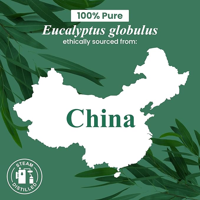 Handcraft Blends Eucalyptus Essential Oil in Glass Bottle – Huge 16 Fl Oz – 100% Pure and Natural – Premium Grade Oil for Diffuser and Aromatherapy, Skin, Massage, Candle and Soap Making Fragrance - Bloomnest