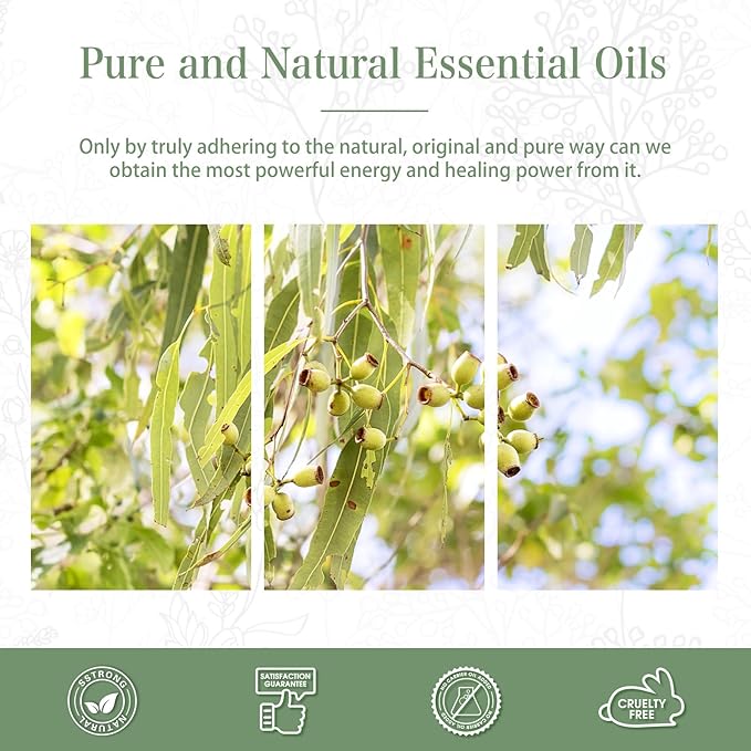 Lemon Eucalyptus 3.38fl.oz Essential Oil, PHATOIL Aromatherapy Essential Oils for Diffuser, Humidifier, Perfect for DIY Soap, Candle, Bath Bombs Making(100ml) - Bloomnest