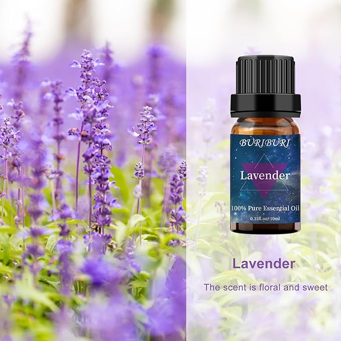BURIBURI Lavender Essential Oil for Diffuser, Skin, Soap & Candle Making, 100% Pure Undiluted Natural Organic Lavender Aromatherapy Oils 10ml - Bloomnest