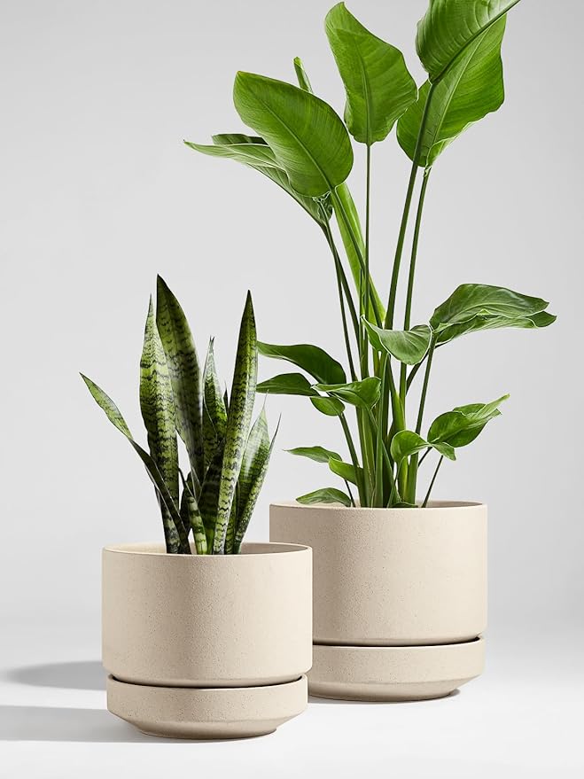 LE TAUCI 12 Inch Pots for Plants with Saucer | Ceramic Outdoor & Indoor Planter Pot for Plants | Drainage Hole, Mesh Pad & Plug | Unglazed Porous | Modern for Home, Office and Patio – Speckled Oat - Bloomnest