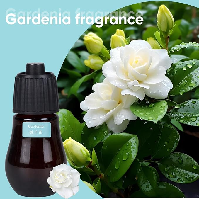 Aromatherapy Essential Oil Set - 3-Piece Essential Oil Set in Three Flavors: Sandalwood, Gardenia, Clove Flower - Bloomnest
