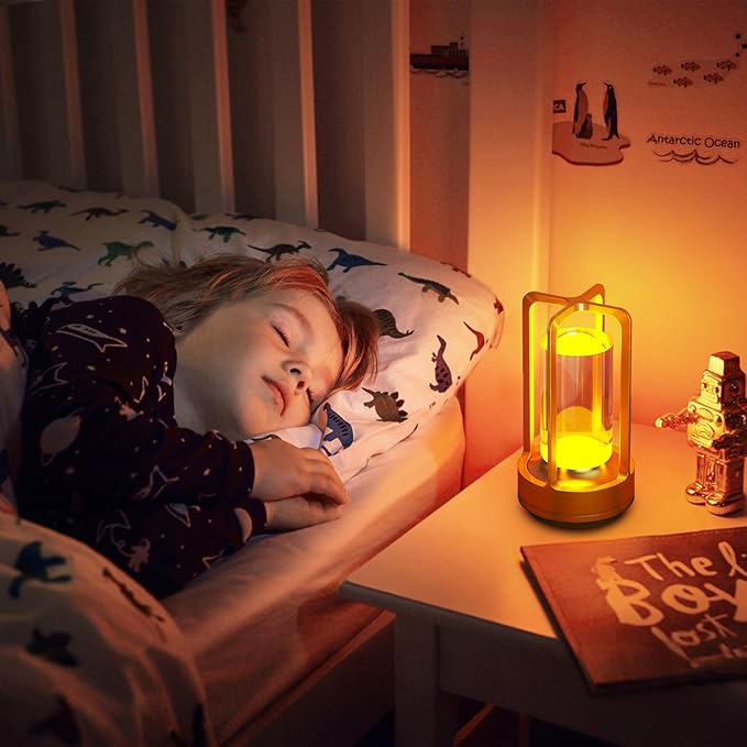 Portable Table Lamp for Outdoor Indoor: Cordless Rechargeable Desk Lamp with 3 Color Stepless Dimmable - Metal Battery Operated Small Lantern Light for Restaurant/Bedroom/Bar/Coffee Shop/Camping - Bloomnest