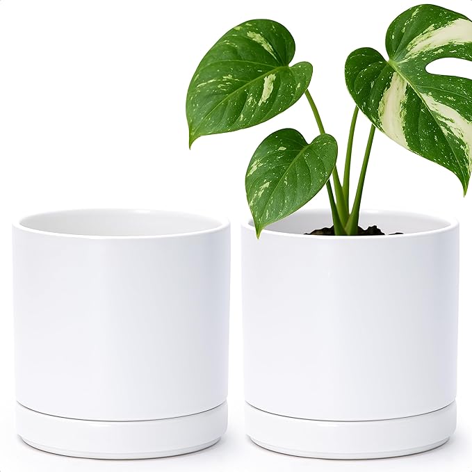 D'vine Dev Set of 2 Plants Pots, 6.5 Inch Ceramic Planter Pot for Plants with Drainage Hole and Saucer, White, 94-V-C-1 - Bloomnest