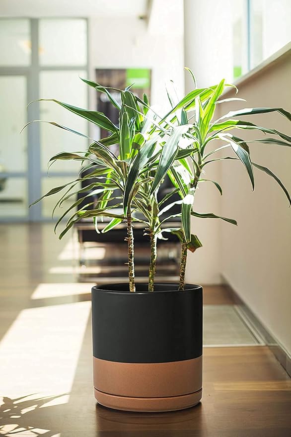 D'vine Dev 8 Inch & 10 Inch Ceramic Planter Pot for Plants with Drainage Hole and Saucer, Large Plant Pots Set, Black/Speckled Tan, 94-G-L-7 - Bloomnest