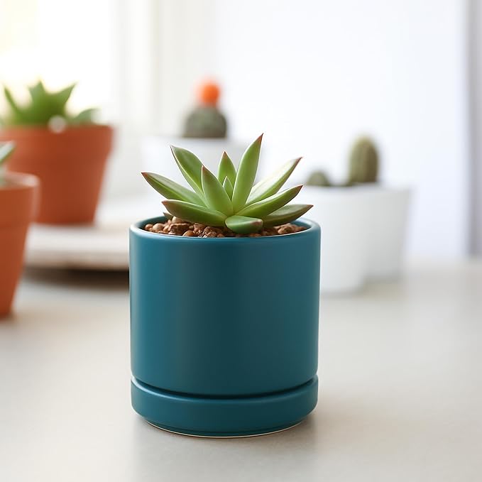 D'vine Dev Set of 2 Plants Pots, 3.5 Inch Ceramic Planter Pot for Plants with Drainage Hole and Saucer, Teal, 94-V-A-9 - Bloomnest
