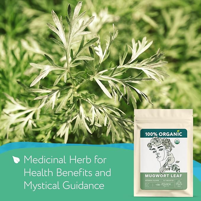 Mugwort Tea Organic Loose Leaf (4oz) – Mugwort Herb - Artemisia Hierba Seca Organica – Dried Mugwart Leaves - Bloomnest