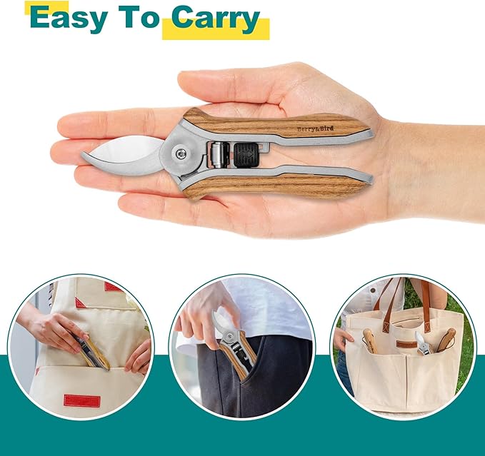 Berry&Bird Mini Pruning Shears for Gardening Curved Blades Hand Pruners with Wooden Handle Garden Scissors Snips Stainless Steel Trimming Small Clippers Bonsai Compact Size Sheaering Tool - Bloomnest