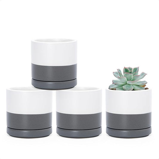 D'vine Dev Set of 4 Small Ceramic Plant Pots, 3.5 Inch Succulent Planter Pot for Plants with Drainage Hole and Saucer, White/Speckled Grey, 94-X-A-6 - Bloomnest