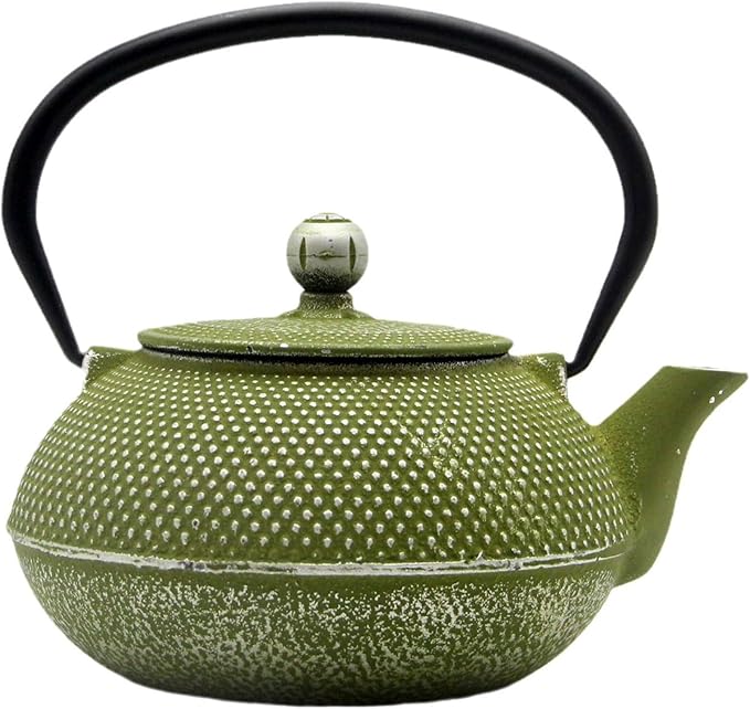 Cast Iron Teapot Tea Kettle with Stainless Steel Infuser for Stovetop Safe Coated with Enameled Interior Japanese Green Tetsubin for Loose Tea(30.4oz/900ml) - Bloomnest