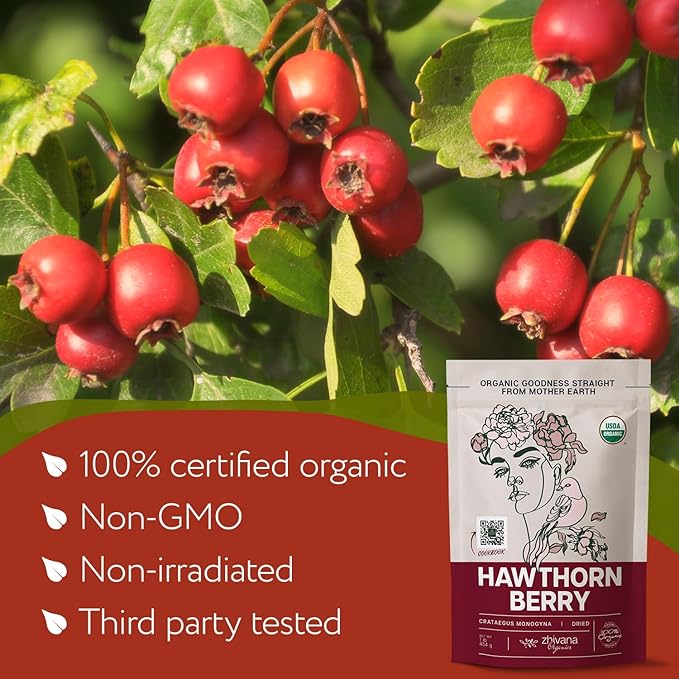 Organic Hawthorn Berry Tea (16 oz.) - Hawthorn Tea, Hawthorne Berries - High Blood Pressure, Heart Health Support, Relaxation - Bloomnest