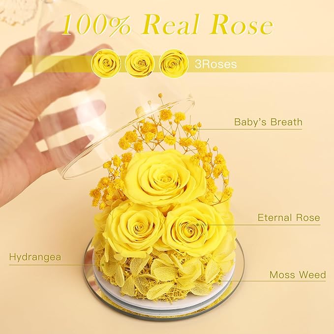 Valentines Day Gifts for Her Women Preserved Flower Rose, Forever Eternal Fresh Flowers in Glass Angel Figurines Flowers for Delivery Prime for Grandma Mom Sister Her Wife on Mothers Day Birthday - Bloomnest