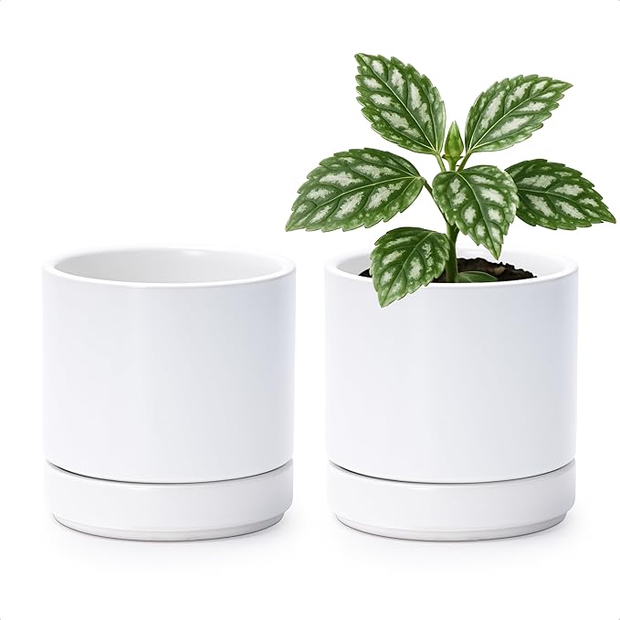 D'vine Dev Set of 2 Plants Pot, 4.7 Inch Ceramic Planter Pot for Plants with Drainage Hole and Saucer, White, 94-V-B-1 - Bloomnest