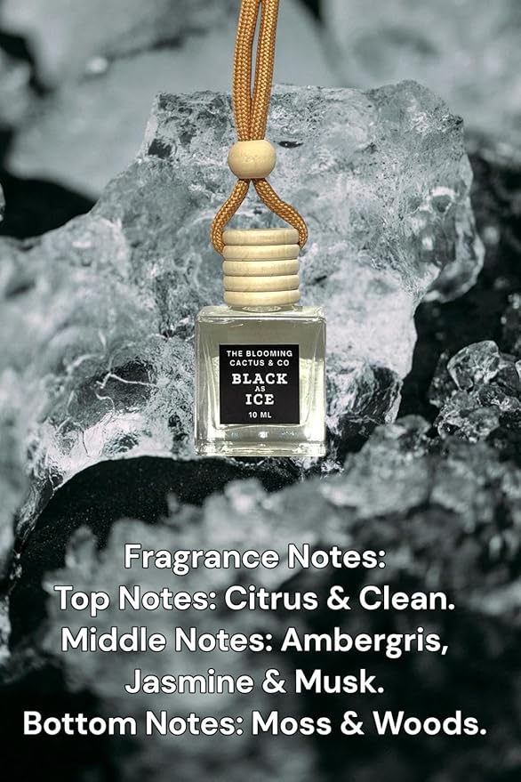 Car Air Freshener Hanging, Essential Oil Diffuser for Cars 1 OZ, Cute Car Accessories, C ar Air Freshener Refill, Long-Lasting Fragrance Refill, Car Diffuser Refill Made in USA | Black Ice (Type) - Bloomnest
