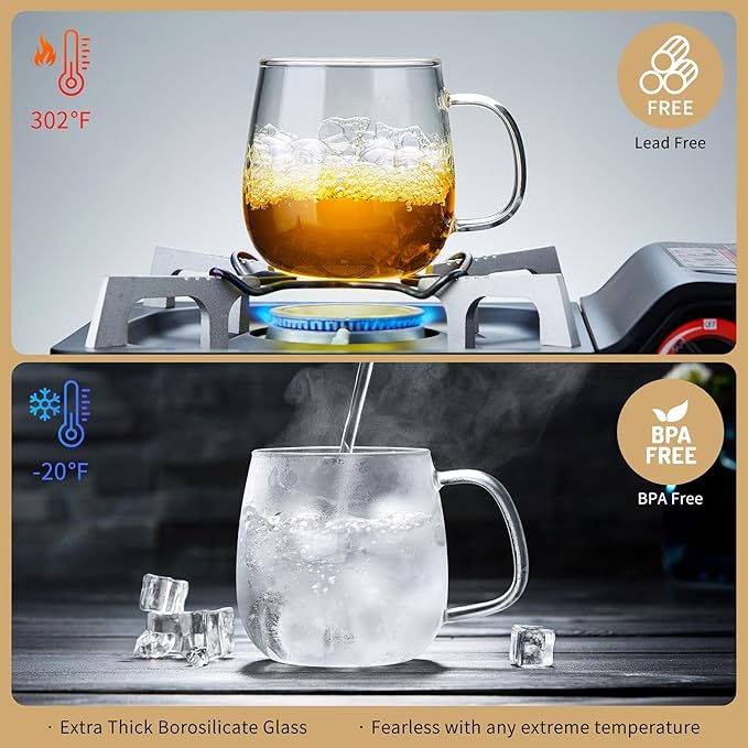 Large Glass Tea Cup, 25.6 oz Borosilicate Glass Tea Mug with Infuser and Lid, Clear Tea Cups for Brewing Scented Tea and Tea Bag - Bloomnest