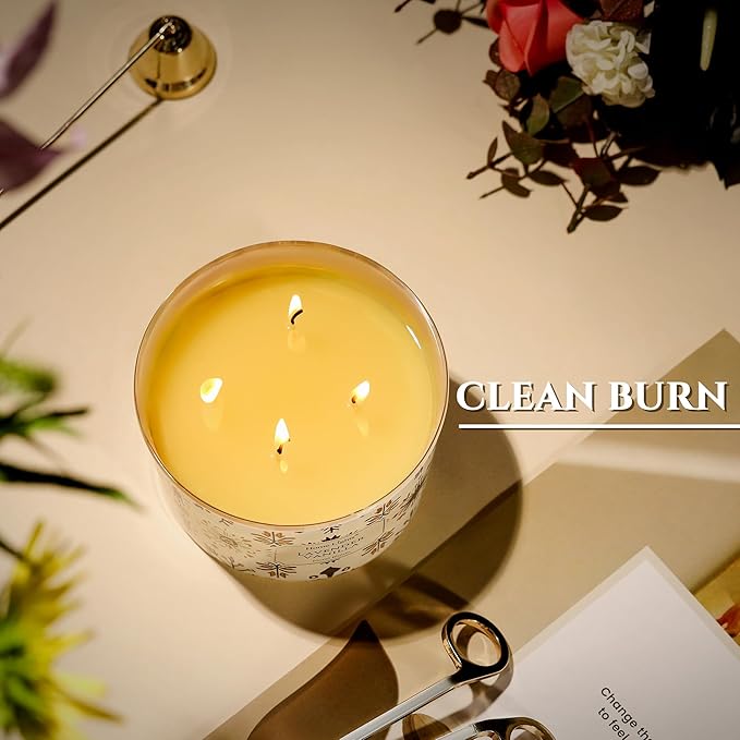 HomeLights Large jar Candle | 4-Wick Long-Lasting Scented Candles, 18oz Natural Soy Wax Candle for Home Scented, Bohemian Natural Textures Gifts for Women & Men, Lavender Vanilla - Bloomnest