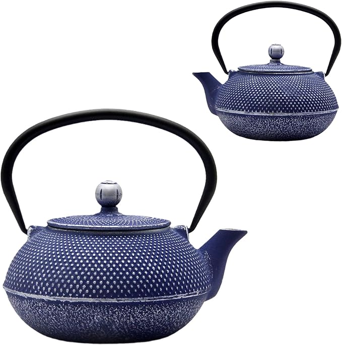 Cast Iron Teapot Tea Kettle with Stainless Steel Infuser for Stovetop Safe Coated with Enameled Interior Japanese Dark Blue Tetsubin for Loose Tea(30.4oz/900ml) - Bloomnest