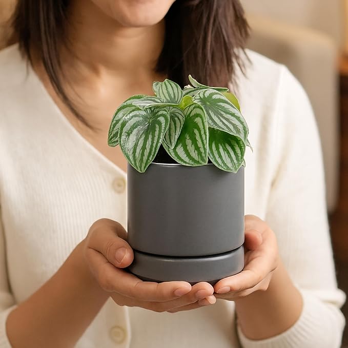 D'vine Dev Set of 2 Plants Pots, 4.7 Inch Ceramic Planter Pot for Plants with Drainage Hole and Saucer, Speckled Grey, 94-V-B-3 - Bloomnest
