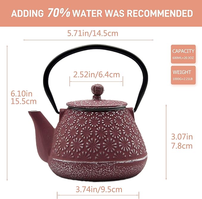 Cast Iron Teapot, 20.3oz Small, Enameled Interior, Stainless Steel Infuser for Loose Tea (Pink Gerbera Pattern) - Bloomnest
