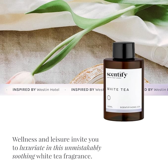 Scentify White Tea Aroma Oil Refill for Diffusers – Citrus, White Tea & Soft Florals, Amber Woods & Palo Santo – Luxury Aromatherapy Fragrance – 100ml / 3.38oz – New Version - Bloomnest