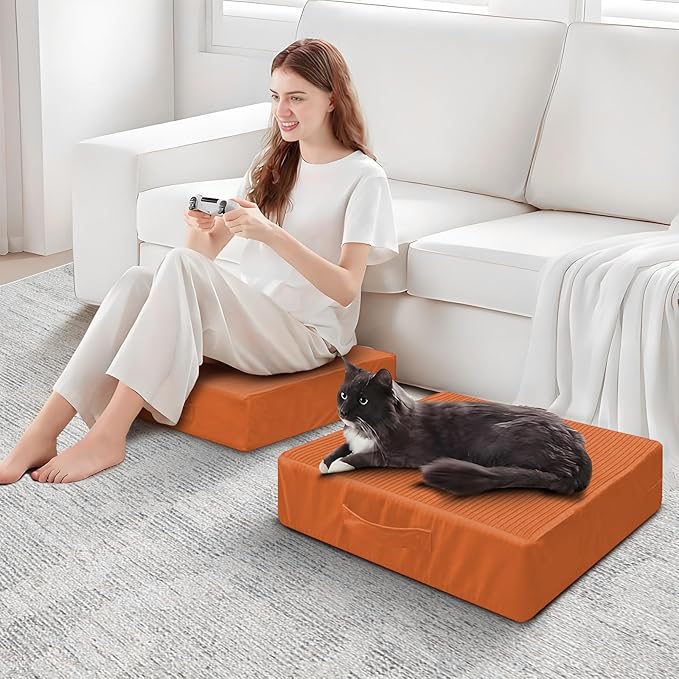 Large Floor Pillows for Adults, Thick Meditation Floor Cushions for Sitting Yoga, 22x22x5 Foam Seat Cushions Set of 2 for Furniture, Floor Pillow with Pleated Velvet Removable Cover, Orange