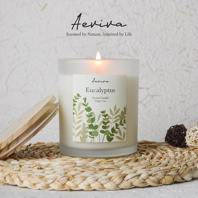 Eucalyptus Scented Candle, 11oz 60 Hour Burn, Natural Soy Wax with Thick Cotton Wick, Highly Scented Aromatherapy Candle for Stress Relief & Meditation, Gifts for Women & Men - Bloomnest