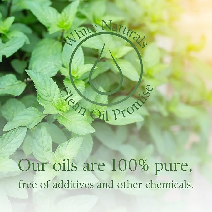 Organic Mint Essential Oil, Refreshes & Energizes The Spirit and Body, 100% Pure Natural Mint Oil for Diffuser, Aromatherapy, Hair Care, Skin Massage, Candle and Soap Making 1 Fl oz - Bloomnest