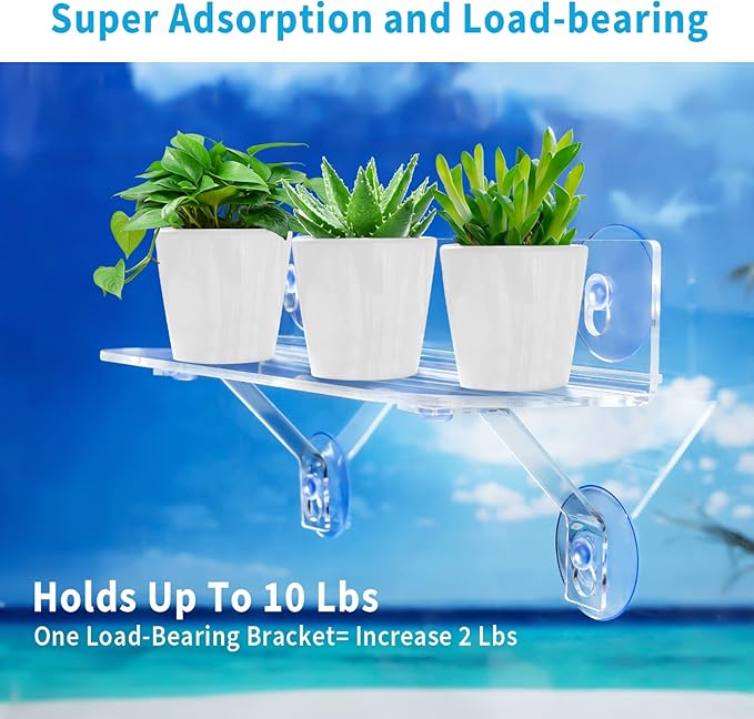 12 Inch 2 Pack Plant Window Boxes Shelf Sill Suction Cup Planter, 5-Inch Extra Wide Window Sill Extender with Load Bearing Bracket for Herbs, Succulents, Clear Acrylic Indoor Plant Stand, Planter Holder - Bloomnest