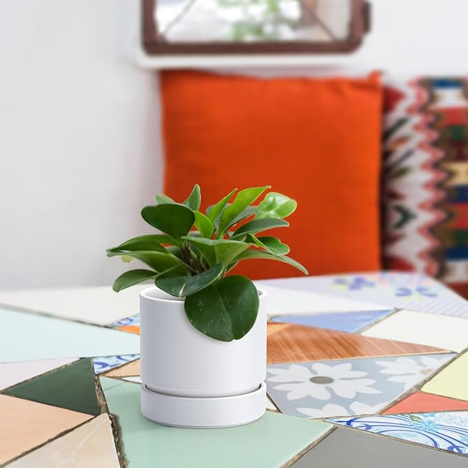 4 Inch Modern Plastic Round Pots for Indoor Houseplants and Herbs, Pack of 3 Planter Pot with Drainage Hole & Saucer, Deep Water Catch Tray, Straight Cylindrical Pot for Plants, Matte White, 23-D-R-1 - Bloomnest