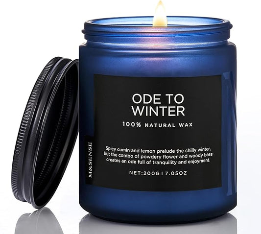 M&SENSE Ode to Winter Scented Candle for Home Natural Soy Wax Non Toxic Cotton Wick Winter Scent, 7.05oz Up to 50 Hours Burn Time Gifts for Christmas Holiday - Bloomnest