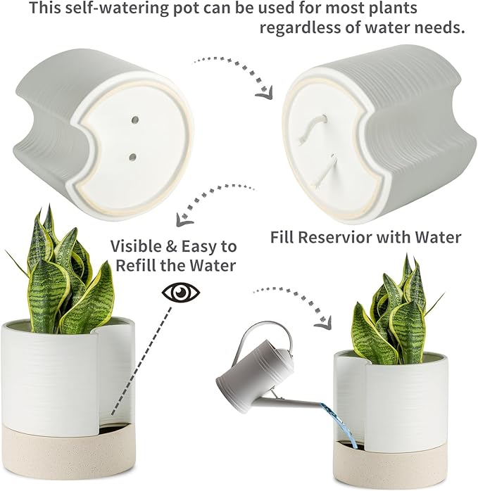 Nihow Self Watering Plant Pot: 8 Inch Ceramic Planter with Drainage Hole & Water Storage Plus for Indoor & Outdoor Plants - Cylinder Round Flower Pot for Succulent/Herbs/Violets - White & Brown - Bloomnest