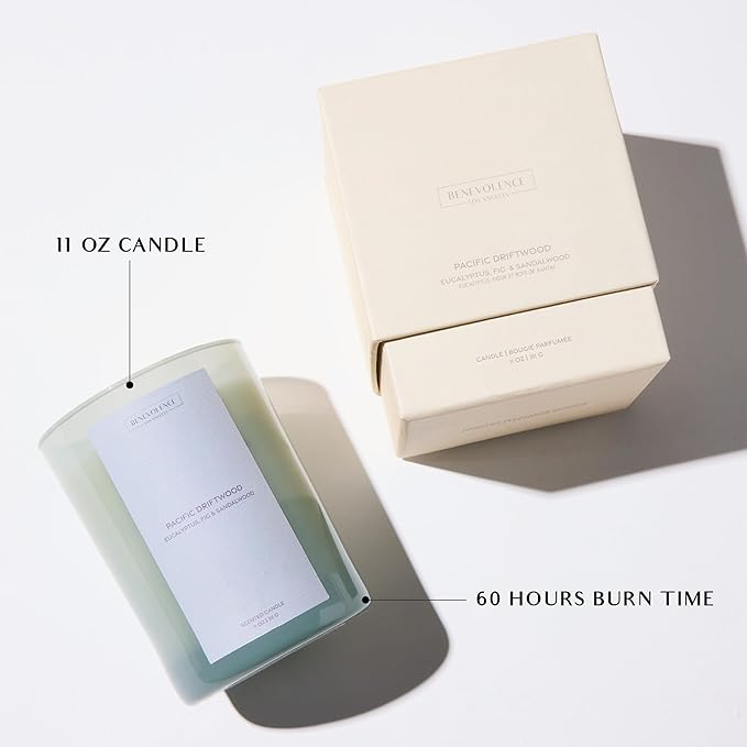 Eucalyptus Fig & Sandalwood Scented Candle | 11oz, 60 Hour Burn | Natural Soy Wax, Cotton Wick | Holiday Candles | Christmas Scented Candles for Home | Sun-Kissed Collection - Pacific Driftwood - Bloomnest
