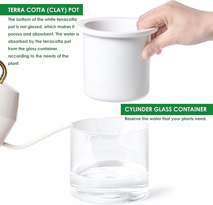 Phoenix Vine 4 Inch Self Watering Planter Pot, Design White Terracotta Pots for Plants, Indoor Cylinder Terra Cotta Pots with Glass Vase, Set of 4, 51-B-E-4 - Bloomnest
