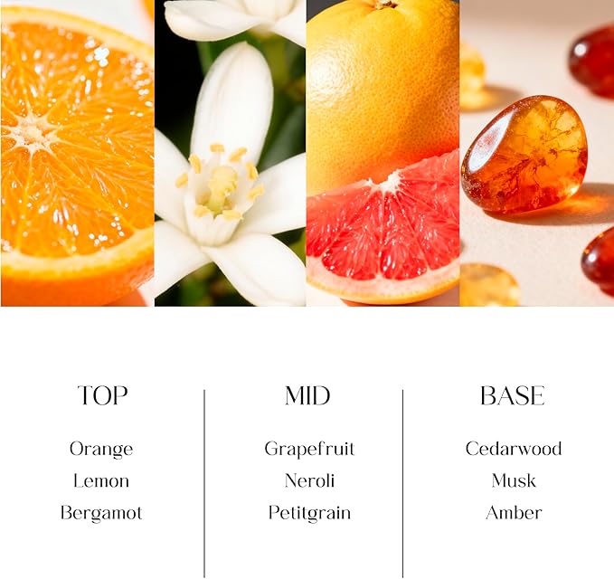 Clesh Reed Diffuser Set, 6.7 oz Citrus Scented Diffuser with Sticks, Home Fragrance Reed Diffuser for Bathroom Shelf Decor - Bloomnest
