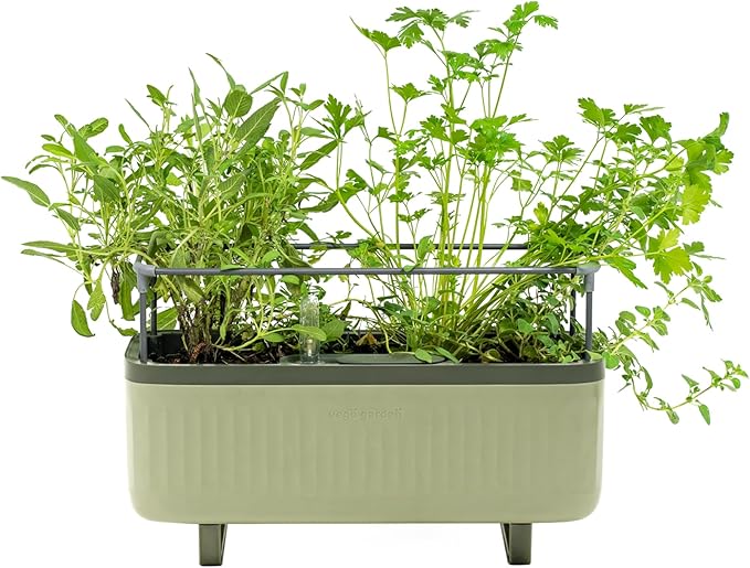Vego garden Herb Indoor Plant Box, Self Watering Planters Pots for Indoor Plants with Trellis for Kitchen Window Sill or Countertop Plants Cage - Sage Green - Bloomnest