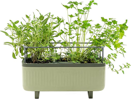 Vego garden Herb Indoor Plant Box, Self Watering Planters Pots for Indoor Plants with Trellis for Kitchen Window Sill or Countertop Plants Cage - Sage Green - Bloomnest