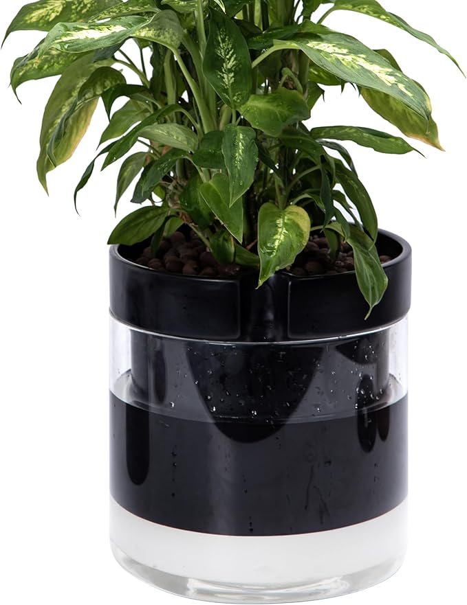 Phoenix Vine 10 Inch Self Watering Terracotta Planter, Black Terracotta Clay Pot with Glass Reservoir for Indoor Plants, Herbs, Flowers, Set of 1, 52-C-I-1 - Bloomnest