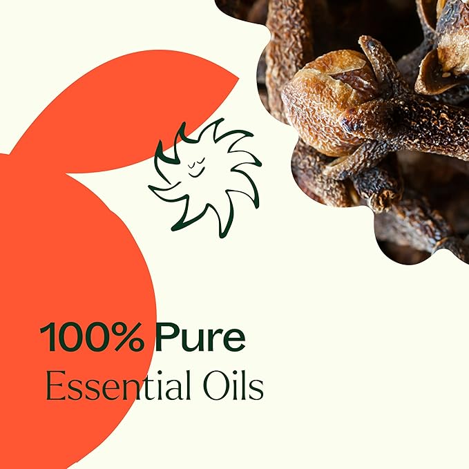 Plant Therapy Spiced Orange Holiday Essential Oil Blend 10 mL (1/3 oz) Bright Citrus Blended with Warming Spices, Inviting & Cheerful Aroma, Creates a Cozy Holiday Atmosphere - Bloomnest