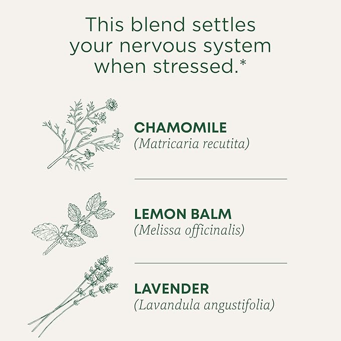 Traditional Medicinals Tea, Organic Chamomile & Lavender, Stress Relief, 48 Tea Bags - Bloomnest