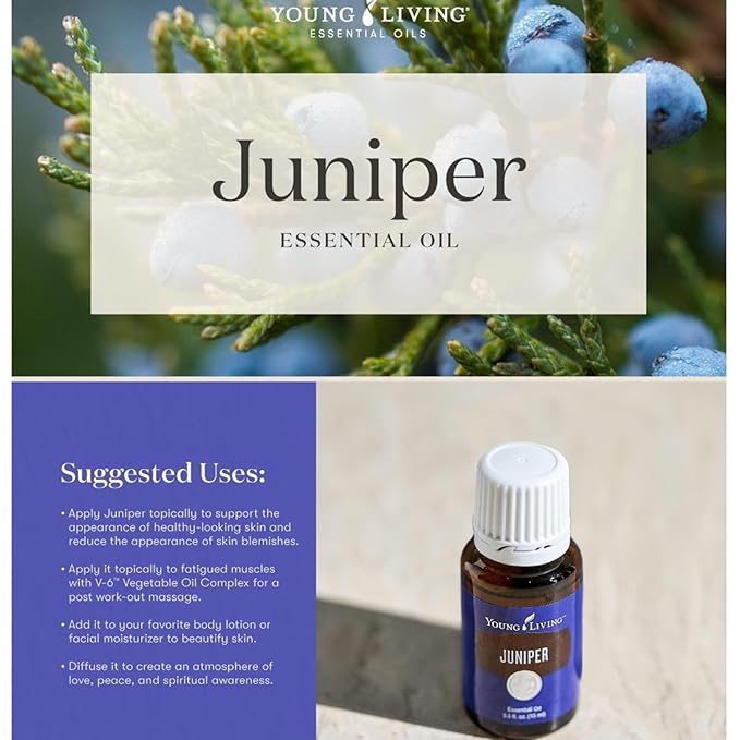 Young Living Juniper Essential Oil | 15 ml | Supports a Fresh, Grounding Aroma | Premium for Diffuser, Skincare & Massage | Relaxation & Focus - Bloomnest