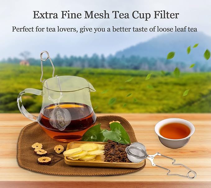 Snap Ball Tea Strainer, Exptolii 2 Pack Stainless Steel Tea Infuser Filter with Handle for Loose Leaf Tea, Spices, Seasonings - Bloomnest